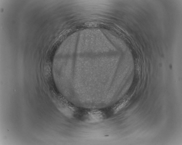 X0000075840603200610151547