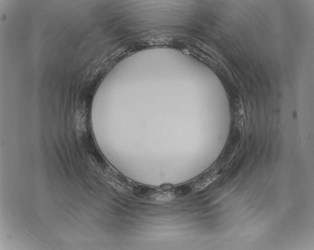 X0000075840604200610151547