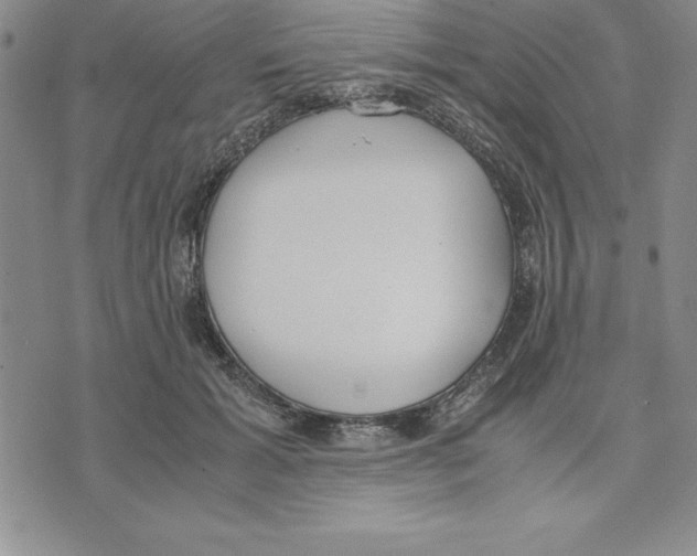 X0000075840605200610151547