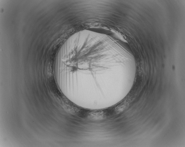 X0000075840606200610151547