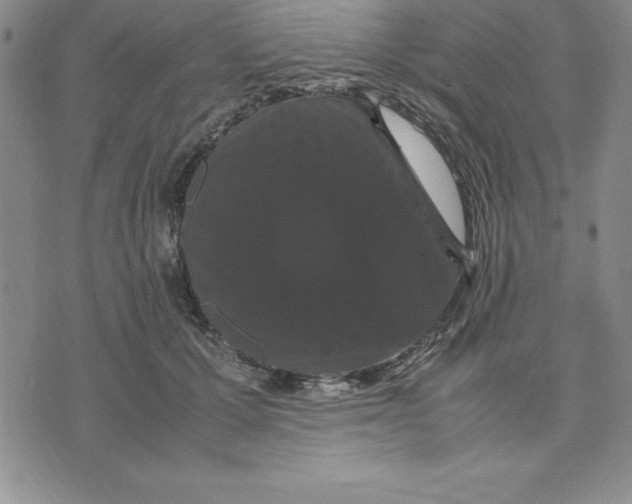 X0000075840607200610151547