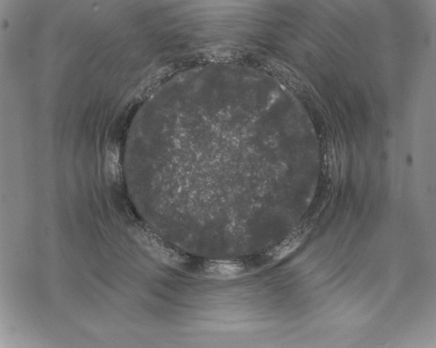 X0000075840610200610151547