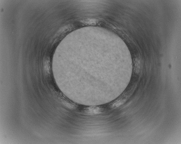 X0000075840612200610151547