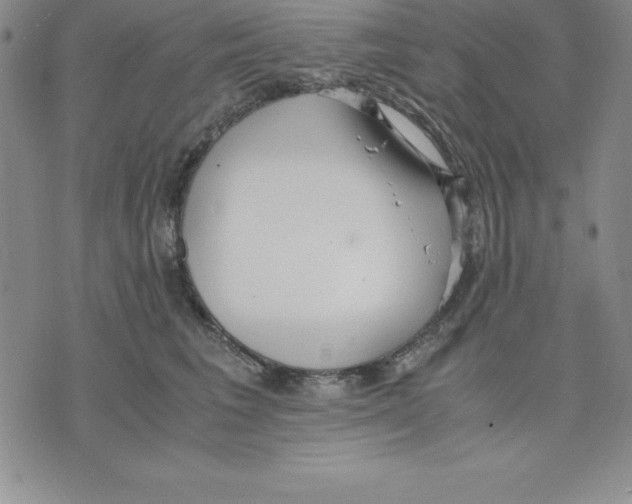 X0000075840613200610151547