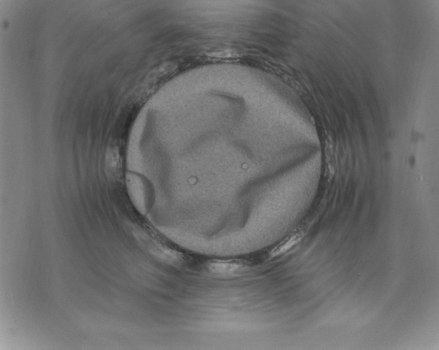 X0000075840614200610151547