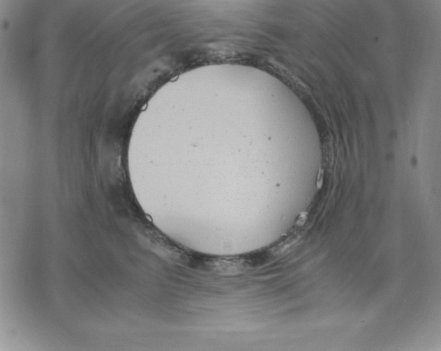 X0000075840615200610151547