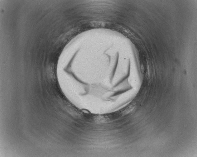 X0000075840616200610151547