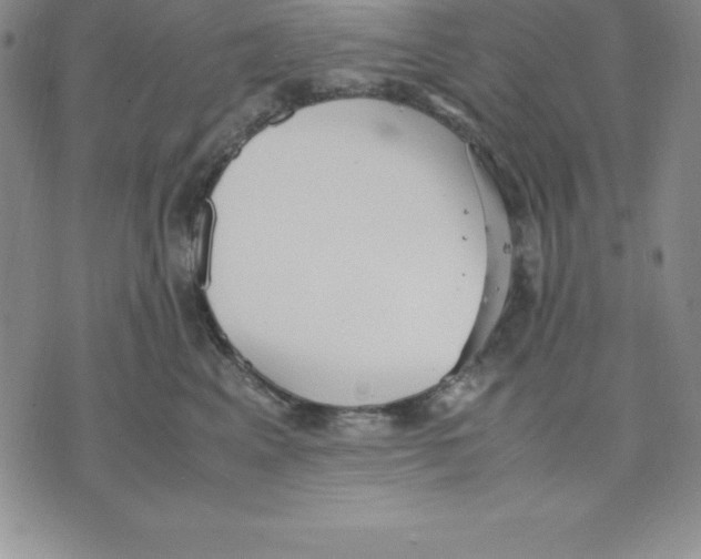 X0000075840617200610151546