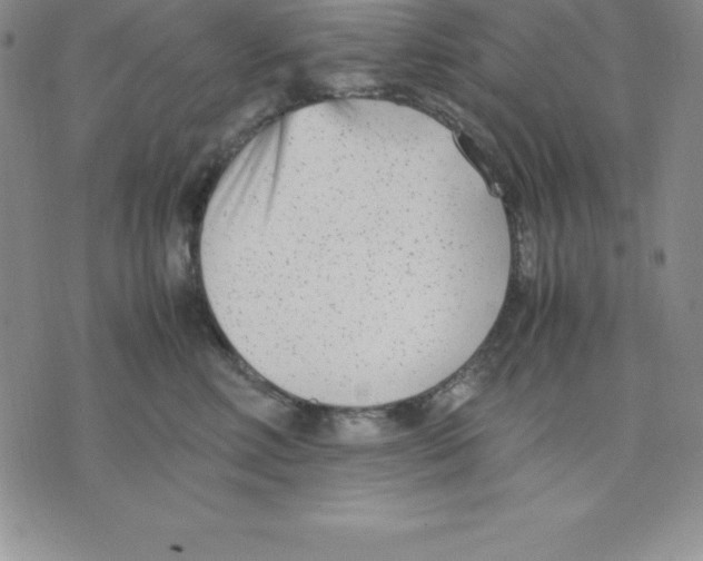 X0000075840618200610151546