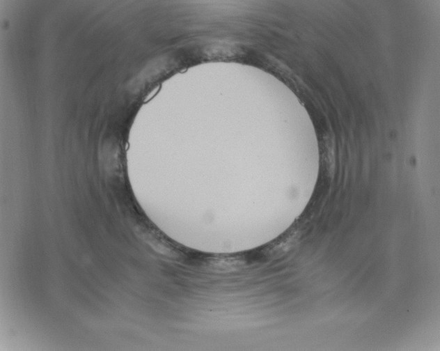 X0000075840619200610151546