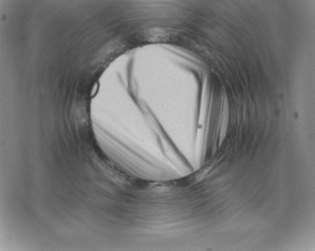 X0000075840620200610151546