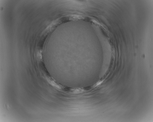 X0000075840621200610151546