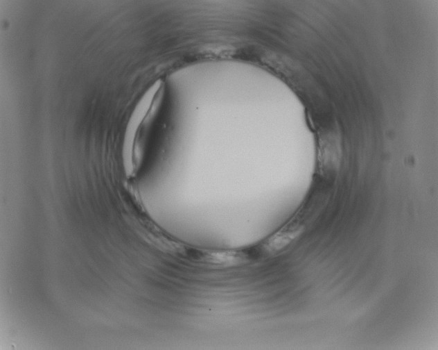 X0000075840623200610151546