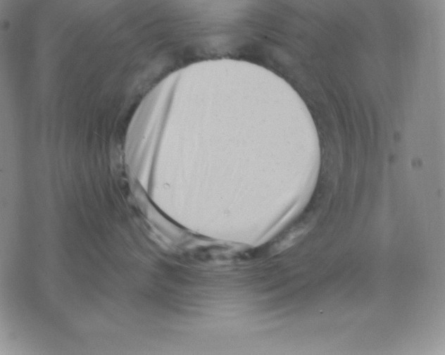 X0000075840624200610151546