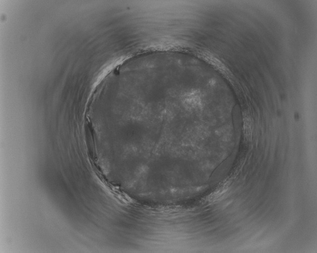 X0000075840626200610151546