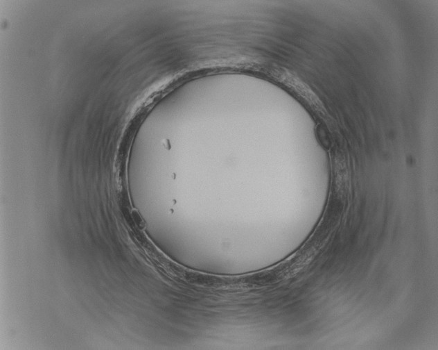 X0000075840628200610151546