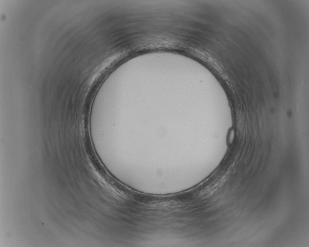 X0000075840629200610151546