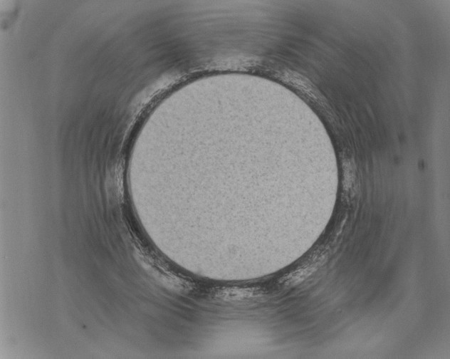 X0000075840632200610151546