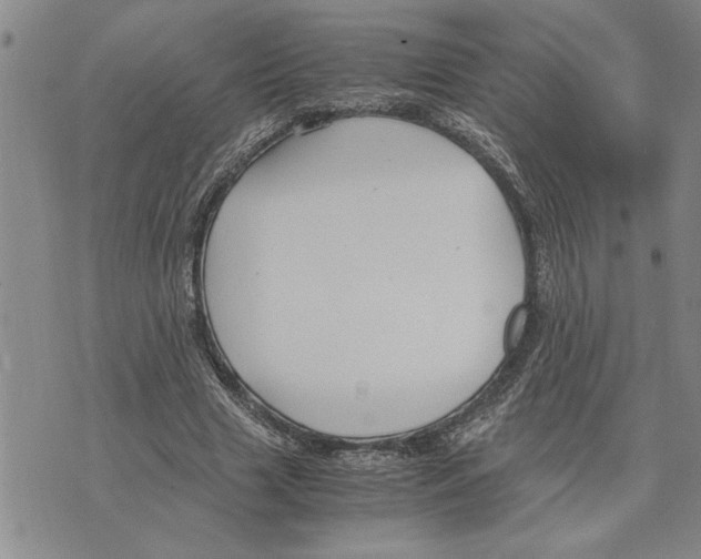 X0000075840633200610151546