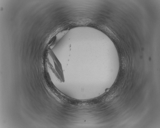 X0000075840634200610151546