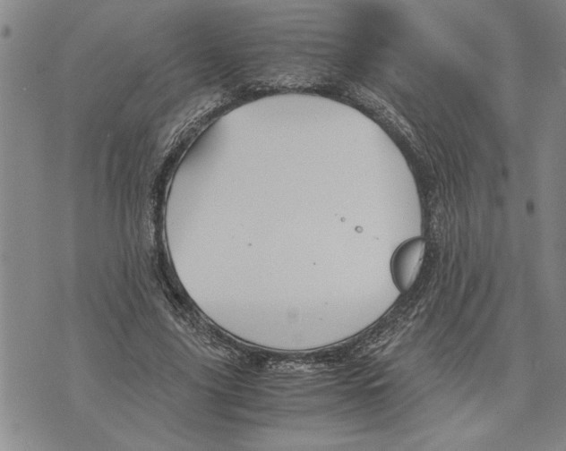 X0000075840635200610151546