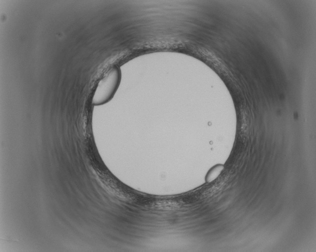 X0000075840636200610151546