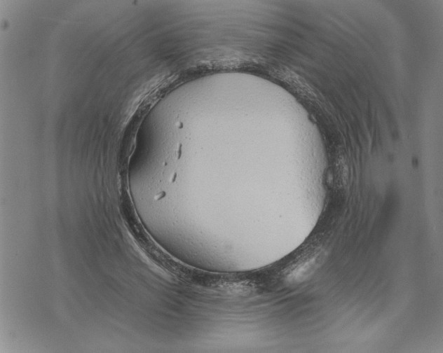 X0000075840638200610151546