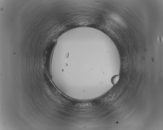 X0000075840639200610151546