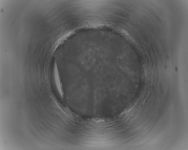 X0000075840640200610151546