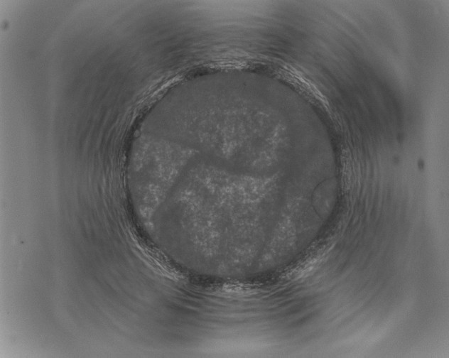 X0000075840641200610151546