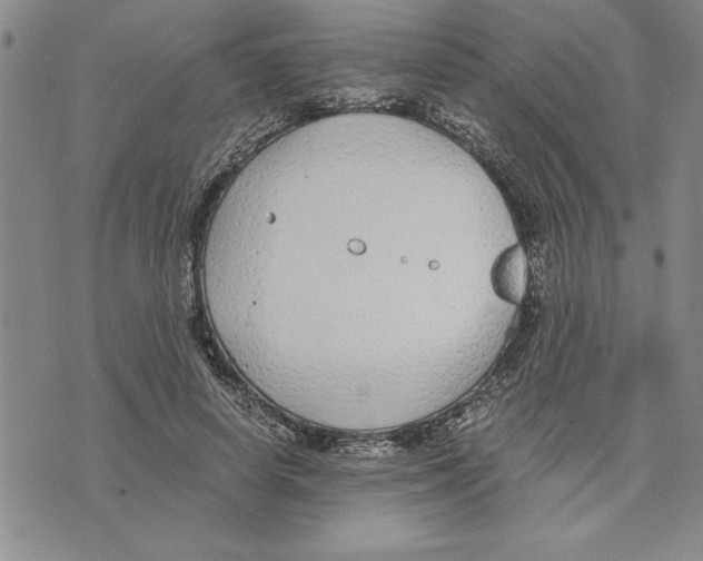 X0000075840642200610151546