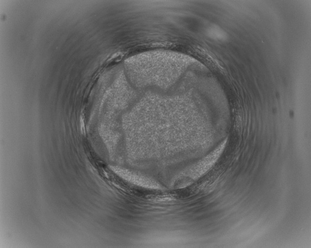 X0000075840643200610151546