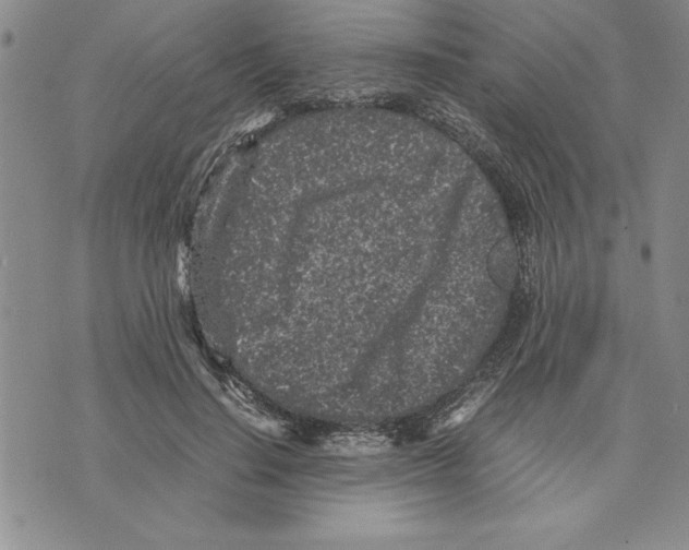 X0000075840644200610151546