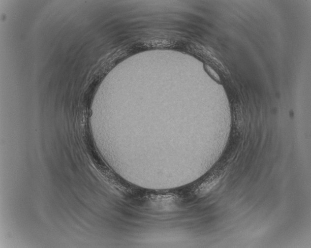 X0000075840645200610151546