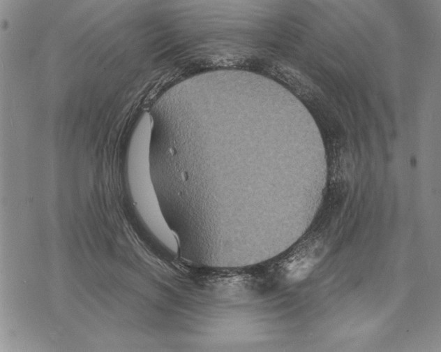 X0000075840646200610151546