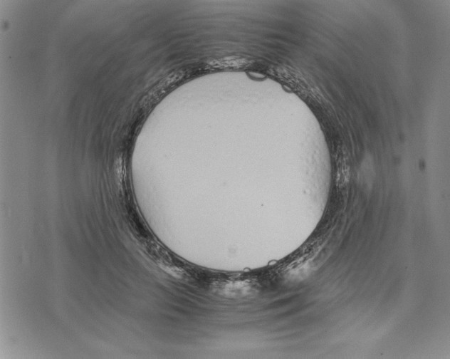 X0000075840647200610151546