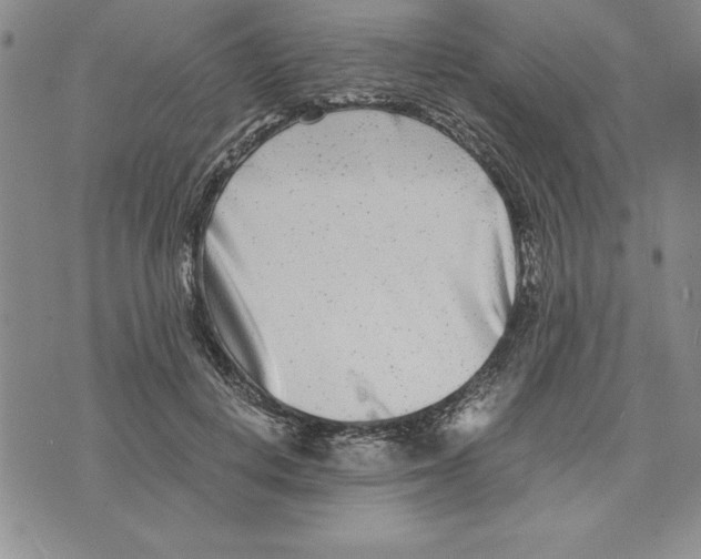 X0000075840648200610151546