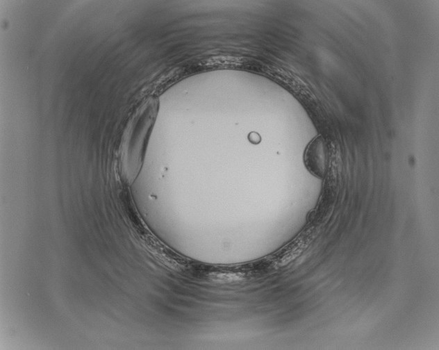 X0000075840649200610151546