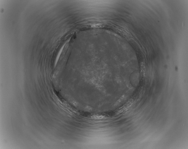 X0000075840650200610151546