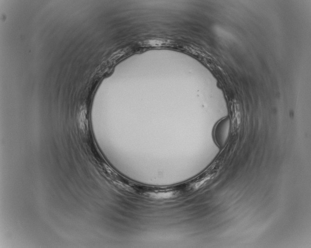 X0000075840651200610151546