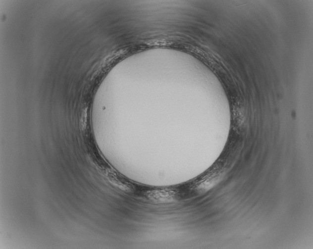 X0000075840652200610151546