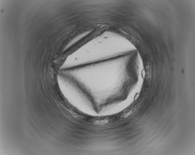 X0000075840653200610151546