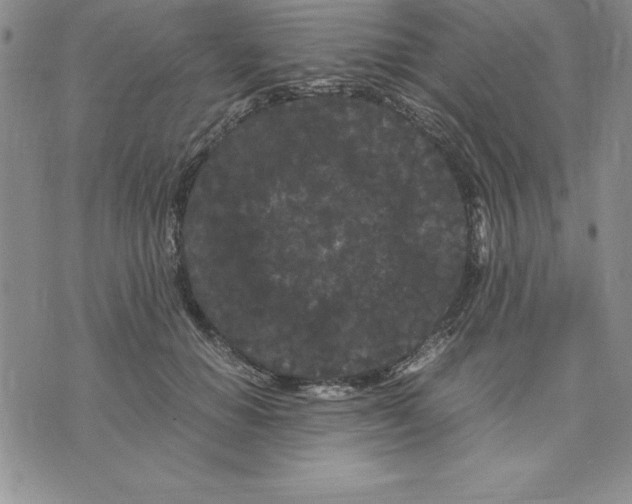 X0000075840654200610151546