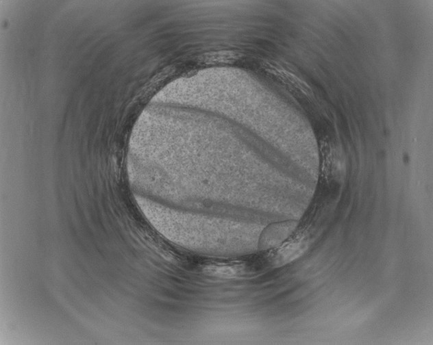 X0000075840655200610151546