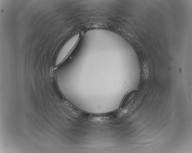 X0000075840657200610151546