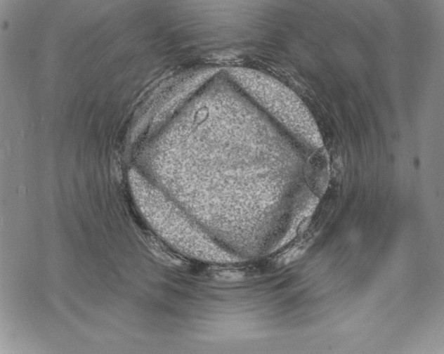 X0000075840658200610151546