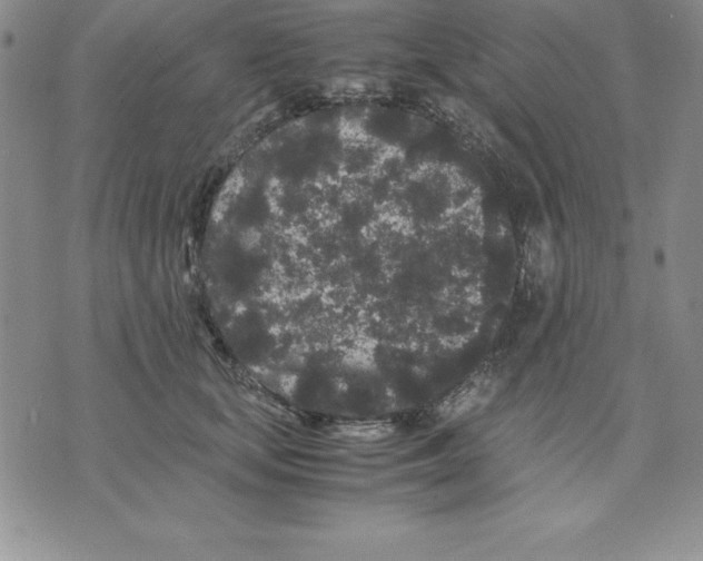 X0000075840659200610151546