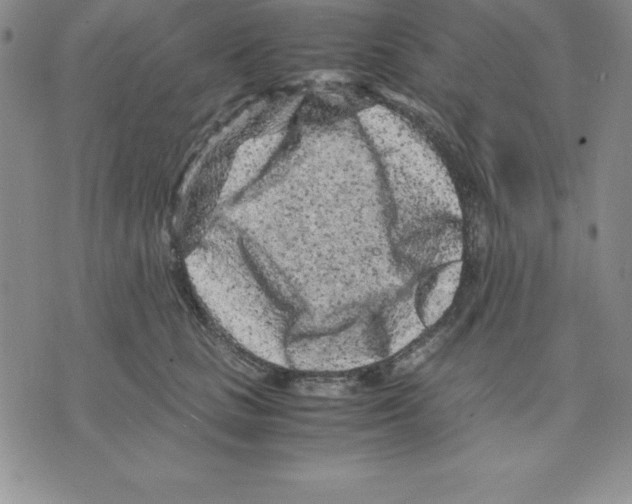 X0000075840661200610151546