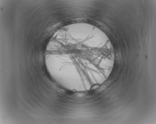 X0000075840662200610151546