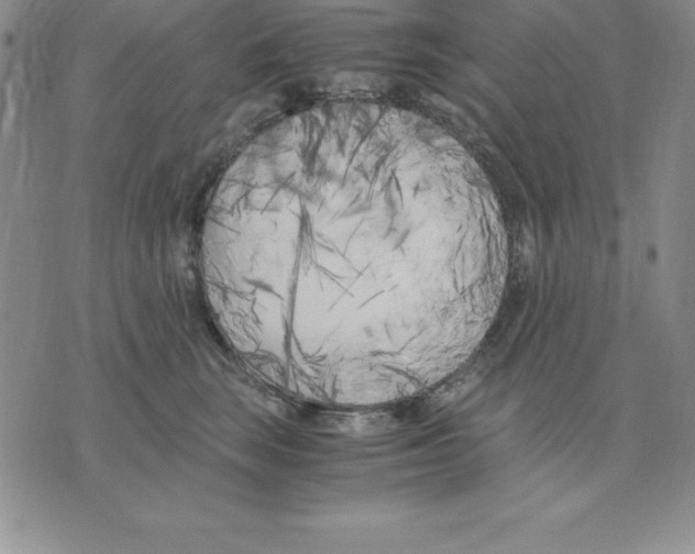 X0000075840663200610151546